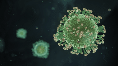 Coronavirus