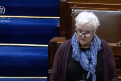 Extreme abortion Bill backed by Dáil Éireann