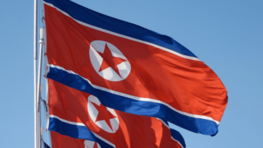 North Korea flags