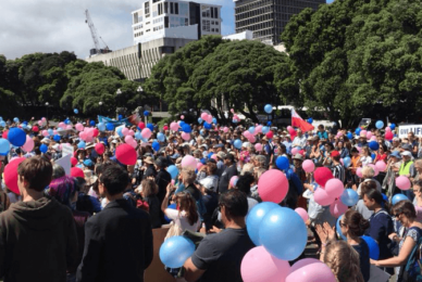 New Zealand March for Life attracts former PM